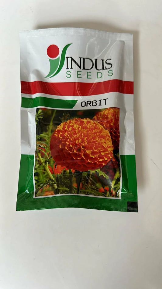 Indus orbit marigold (गेंदा)