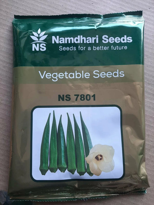 NS 7801 okra seeds