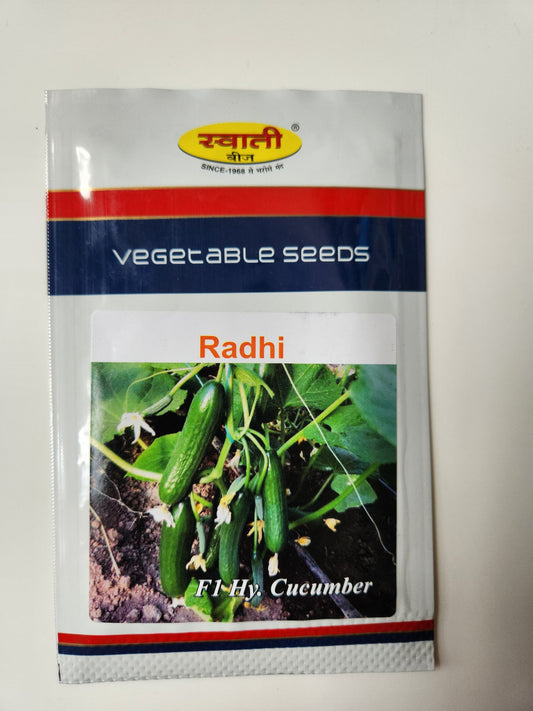 radhi cucumber seeds