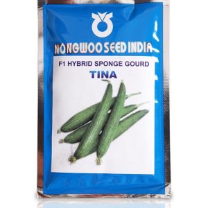Tina F1 Hybrid Sponge Gourd Seeds - Nongwoo Seed India