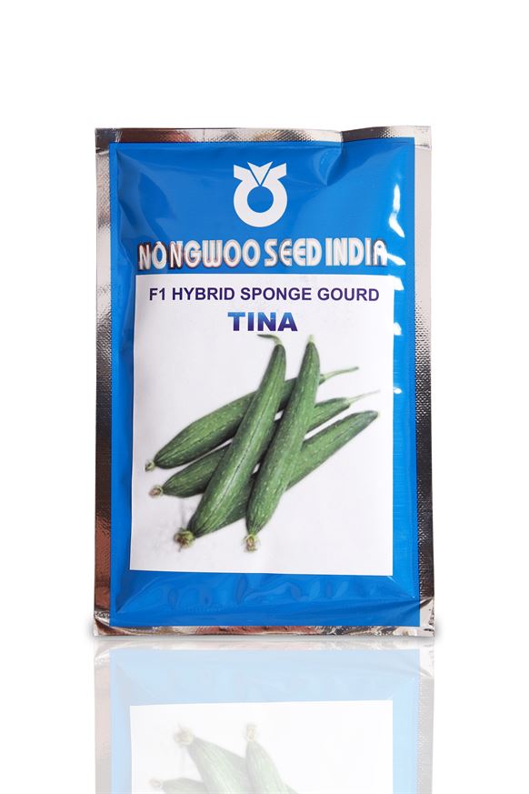 Tina F1 Hybrid Sponge Gourd Seeds - Nongwoo Seed India
