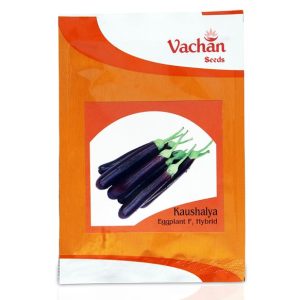 Kaushalya Eggplant F1 Hybrid Brinjal Seeds - Vachan Seeds