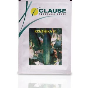 Kruthika F1 Hybrid Cucumber Seeds - Clause Seeds