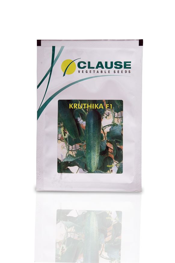 Kruthika F1 Hybrid Cucumber Seeds - Clause Seeds