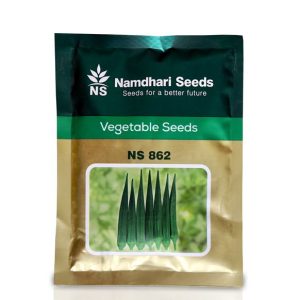 NS 862 Okra Bhindi Seeds - Namdhari Vegetable Seeds