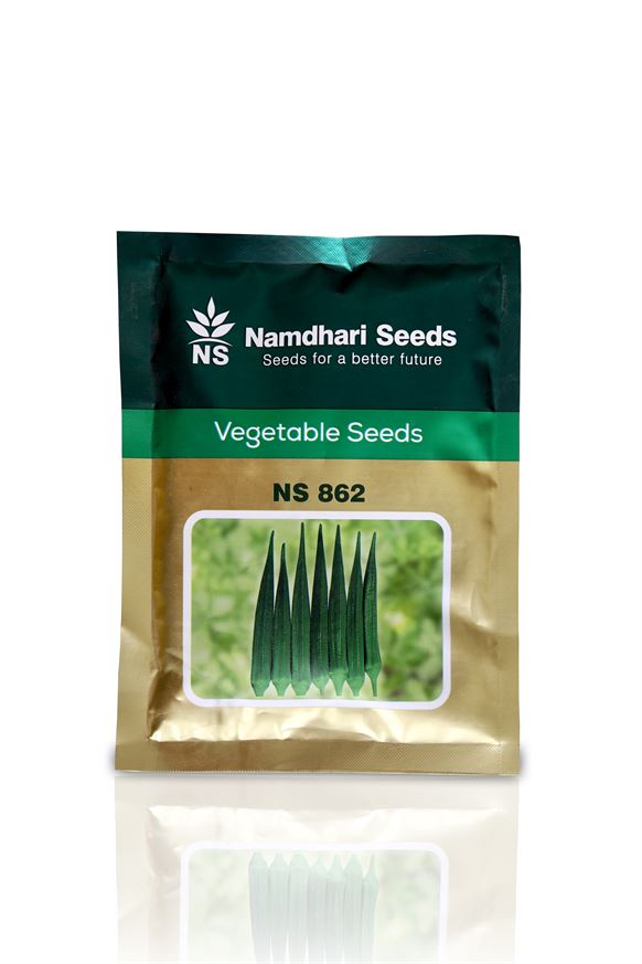 NS 862 Okra Bhindi Seeds - Namdhari Vegetable Seeds