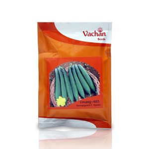 Umang-485 F1 Hybrid Sponge Gourd Seeds - Vachan Seeds