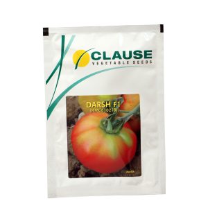 Darsh Tomato Seeds - Clause Seeds