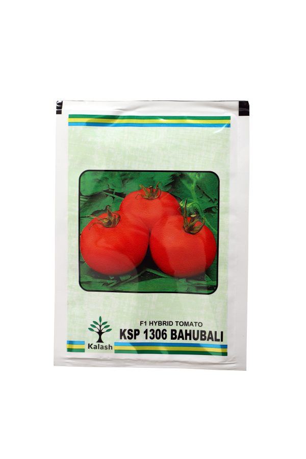KSP 1306 Bahubali Hybrid Tomato Seeds - Kalash Seeds