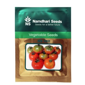 NS-592 Tomato Seeds - Namdhari Seeds
