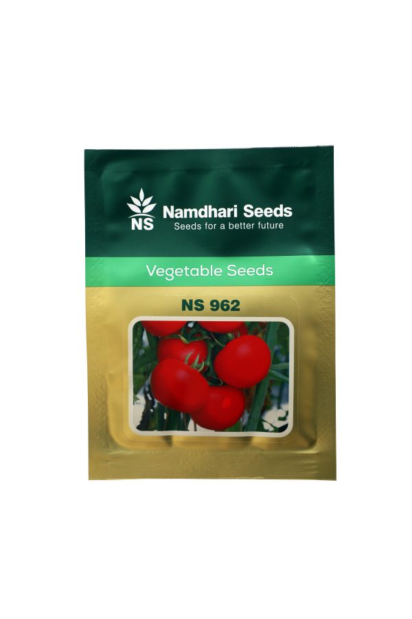 NS-962 Tomato Seeds - Namdhari Seeds