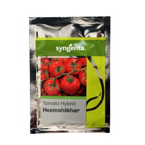 Heemshikhar Tomato Seeds - Syngenta Seeds