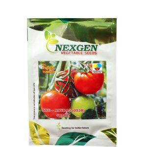 NXG Anurag Tomato Seeds - Nexgen Seeds