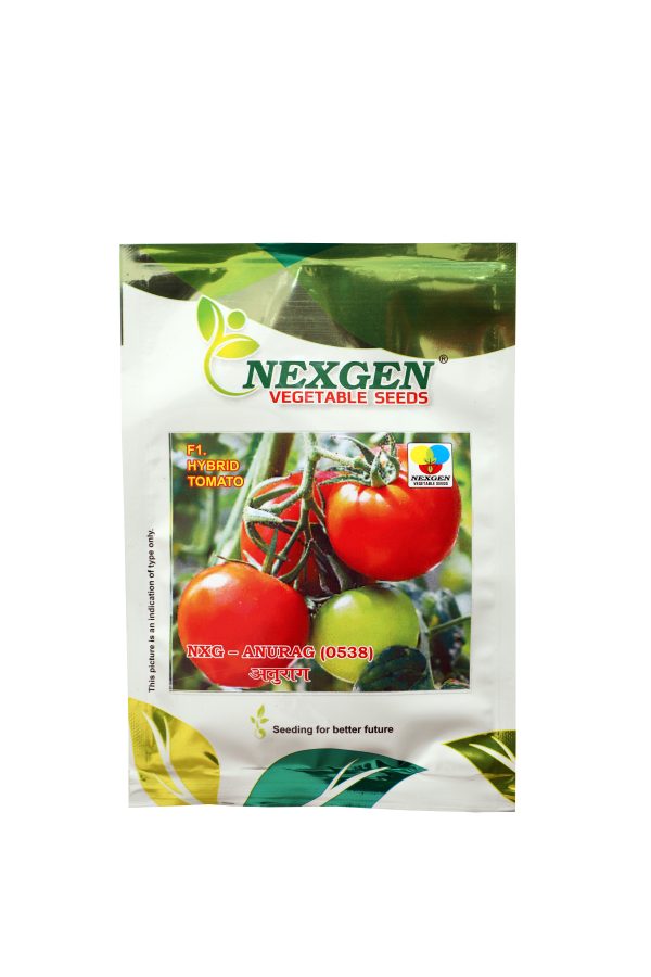 NXG Anurag Tomato Seeds - Nexgen Seeds
