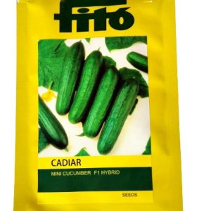 Cadiar F1 Hybrid Mini Cucumber Seeds - Fito Seeds