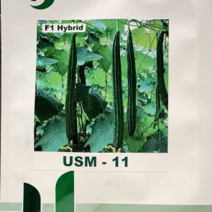 USM- 11 F1 Hybrid Unique Seeds - Unisem Seeds