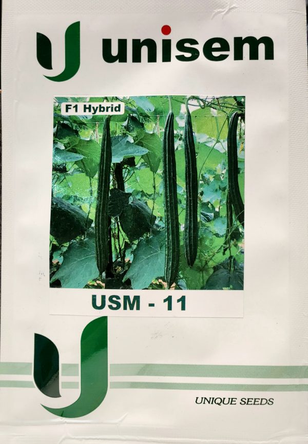 USM- 11 F1 Hybrid Unique Seeds - Unisem Seeds