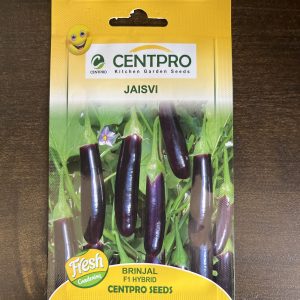 Jaisvi F1 Hybrid Brinjal Seeds - Centpro Kitchen Garden Seeds