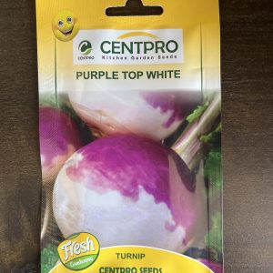 Purple Top White Turnip Seeds - Centpro Seeds