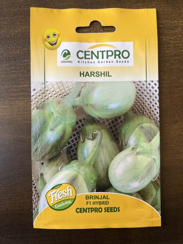 Harshil F1 Hybrid Brinjal Seeds - Centpro Kitchen Garden Seeds