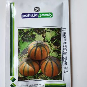 Deepak Plus F1 Hybrid Musk Melon Seeds - Pahuja Seeds