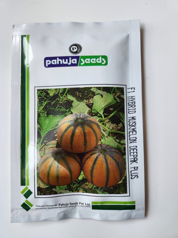 Deepak Plus F1 Hybrid Musk Melon Seeds - Pahuja Seeds