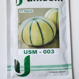 USM-003 F1 Hybrid Musk Melon Seed - Unisem Seeds