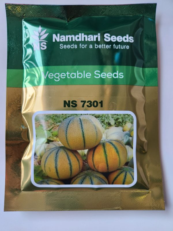NS 7301 Musk Melon Seeds - Namdhari Vegetable Seeds