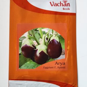 Arya Eggplant F1 Hybrid Brinjal Seeds - Vachan Seeds
