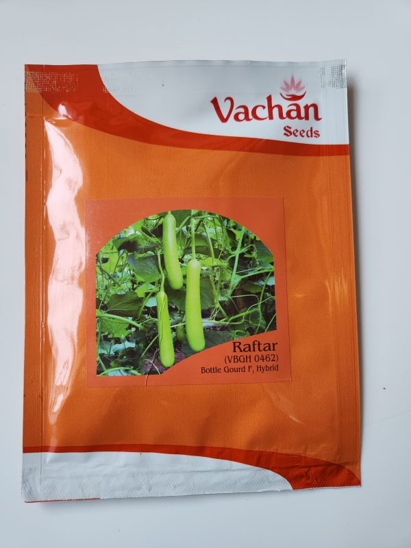 Raftar VBGH 0462 F1 Hybrid Bottle Gourd Seeds - Vachan Seeds