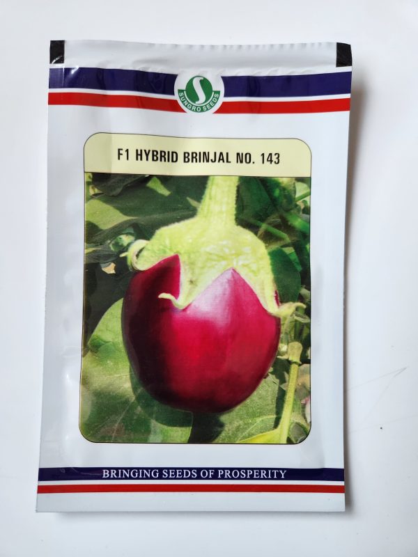 No. 143 F1 Hybrid Brinjal Seeds - Sungro Seeds
