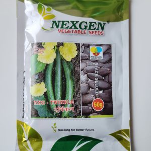 NXG - Twinkle Black Sponge Gourd Seeds - Nexgen Vegetable Seeds