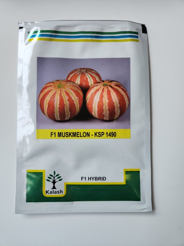 KSP 1490 F1 Hybrid Musk Melon Seeds - Kalash Seeds
