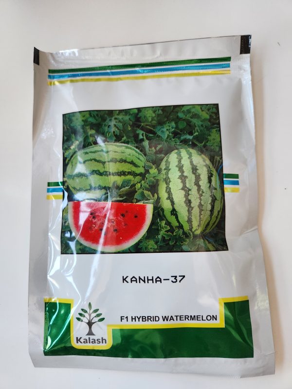 Kanha-37 F1 Hybrid Water Melon Seeds - Kalash Seeds