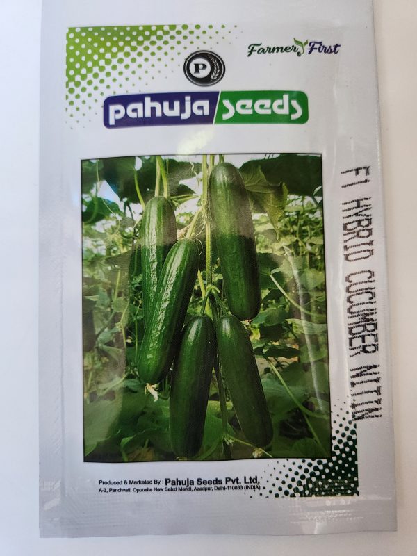 Nitin F1 Hybrid Cucumber Seeds - Pahuja Seeds
