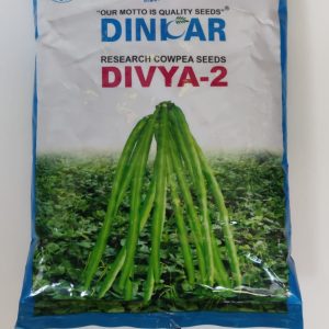 Divya-2 Cowpea Seeds - Dinkar Seeds