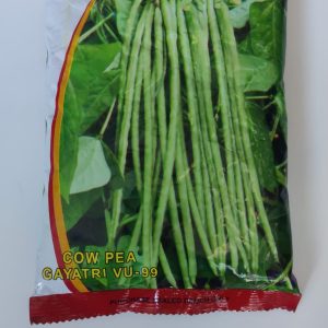 Gayatri VU-99 Cowpea Seeds - Sardar Seeds
