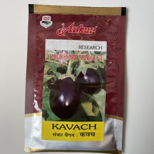 Kavach F1 Hybrid Brinjal Seeds - Ankur Seeds