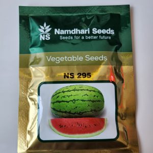NS 295 Water Melon Seeds - Namdhari Vegetable Seeds