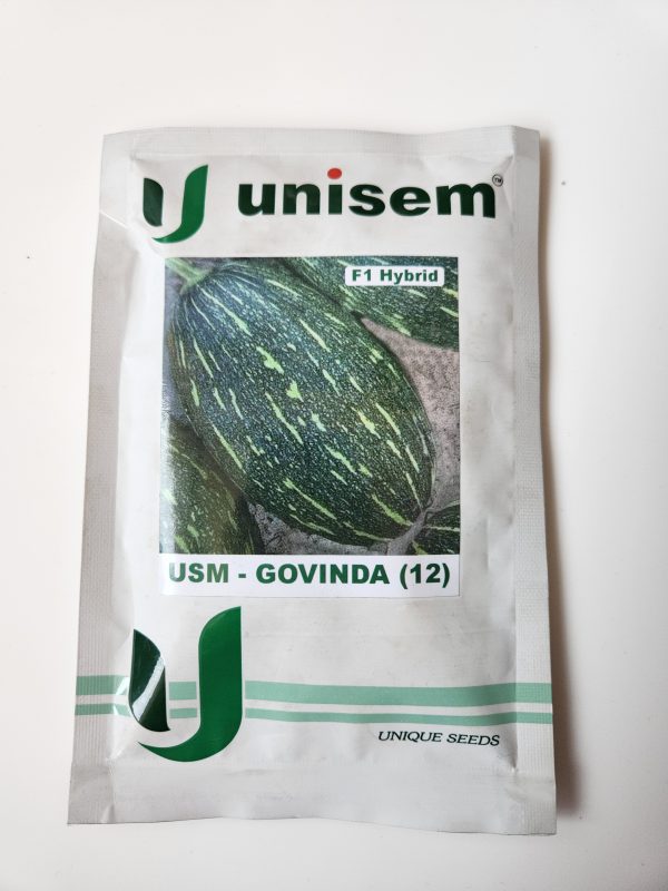 USM - Govinda (12) Pumpkin Seeds _ Unisem Seeds