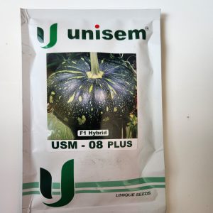USM - 08 Plus F1 Hybrid Pumpkin Seeds - Unisem Seeds