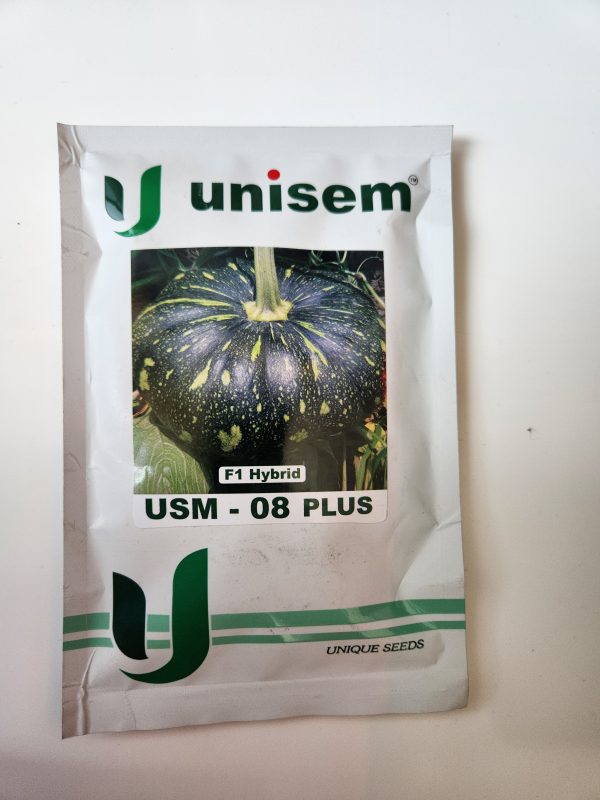 USM - 08 Plus F1 Hybrid Pumpkin Seeds - Unisem Seeds
