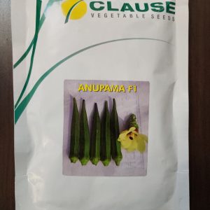 Anupama F1 Bhindi Seeds - Clause Vegetable Seeds