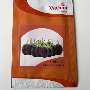 Chhutki Eggplant F1 Hybrid Brinjal Seeds - Vachan Seeds