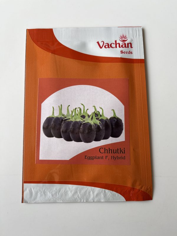 Chhutki Eggplant F1 Hybrid Brinjal Seeds - Vachan Seeds