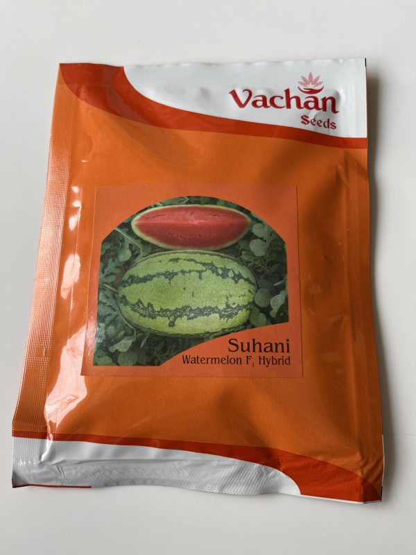 Suhani F1 Hybrid Water Melon Seeds - Vachan Seeds
