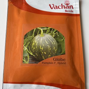 Globe F1 Hybrid Pumpkin Seeds - Vachan Seeds