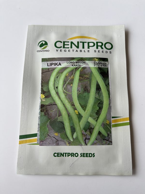 Lipika Long Melon Seeds - Centpro Vegetable Seeds