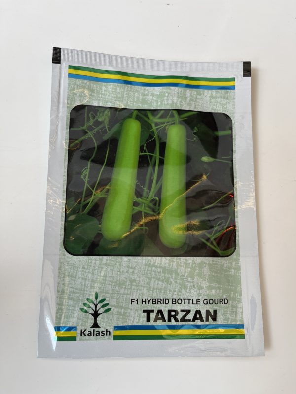 Tarzan F1 Hybrid Bottle Gourd Seeds - Kalash Seeds