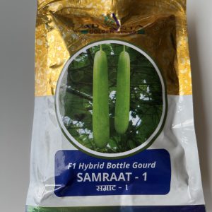 Samraat -1 F1 Hybrid Bottle Gourd Seeds - Advanta Golden Seeds